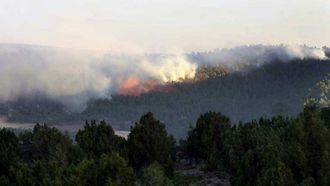 Controlado el incendio en el Parque Natural del Alto Tajo, en Guadalajara