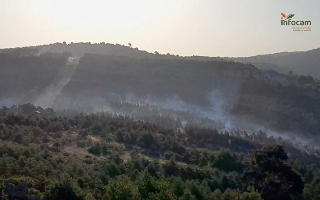 Montes de Guadalajara, un polvorín ante la ausencia de gestión forestal