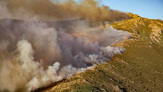 Controlado el incendio forestal de Peñalba de la Sierra