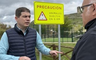 VOX insta a Diputación a señalizar de forma específica las carreteras de Guadalajara con alta siniestralidad por animales