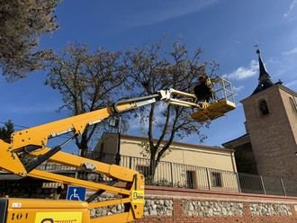 Continúa la poda de árboles en Quer hasta fin de mes