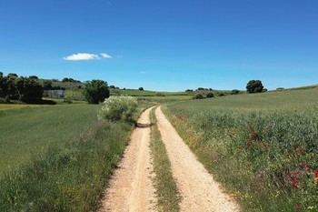 Diputación invertirá 1,2 millones en caminos rurales de 92 localidades en 2026