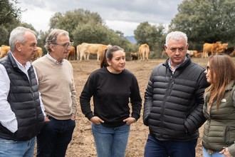 La Diputación de Guadalajara destina 300.000 € a ayudas para collares de vallado virtual en ganaderías