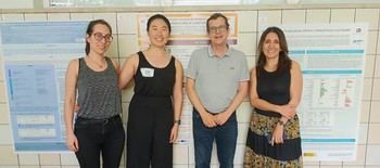 Frutos secos y microbiota intestinal: clave para mejorar la función cognitiva en mayores