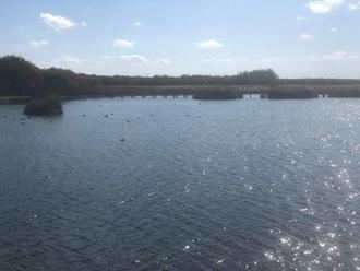 El alcalde de Daimiel expresa su preocupación por la situación del Parque Nacional de Las Tablas