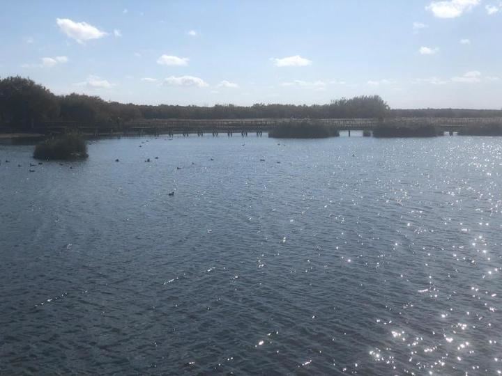 El alcalde de Daimiel expresa su preocupación por la situación del Parque Nacional de Las Tablas