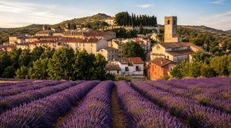 Brihuega y BlaBlaCar consolidan su colaboración para facilitar una movilidad más sostenible durante la Floración de la Lavanda 2026
