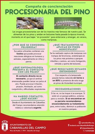 Nuevos tratamientos logran un 80% menos de nidos de procesionaria en Cabanillas del Campo