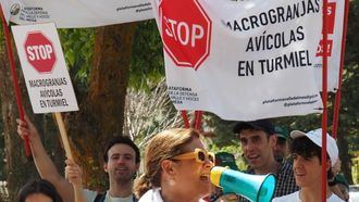 Más de 300 alegaciones contra cinco macrogranjas avícolas proyectadas en Guadalajara