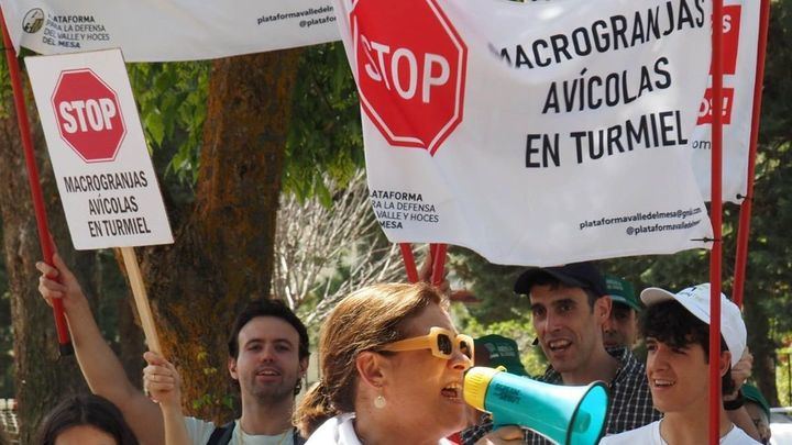 Más de 300 alegaciones contra cinco macrogranjas avícolas proyectadas en Guadalajara