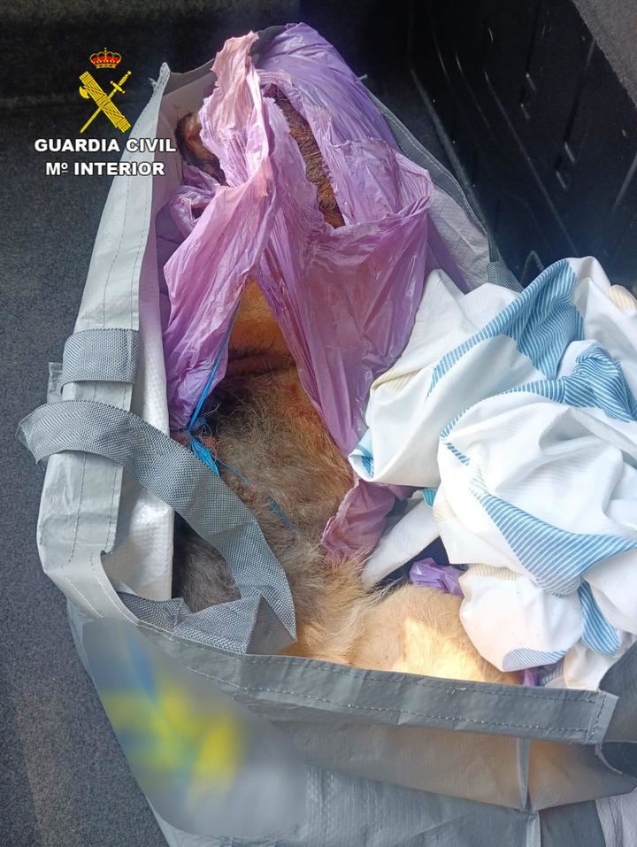 El Seprona investiga a dos personas por maltrato animal en Guadalajara