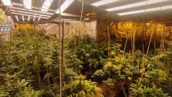 Desmantelan dos plantaciones de cultivo y elaboración de marihuana en dos viviendas de Seseña