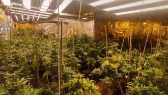 Cinco detenidos por cultivar marihuana en un chalet de Chiloeches