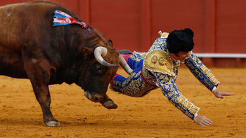 Morante de la Puebla repite en la Feria de San Julián de Cuenca 2026