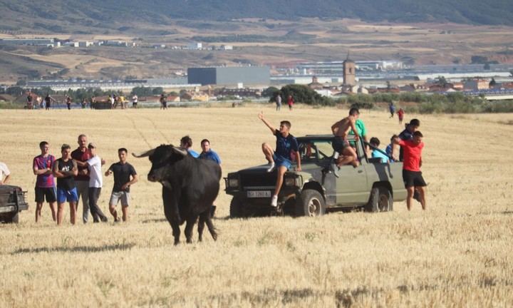 Éxito rotundo en el encierro campero del jueves festivo