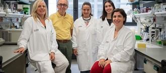 Investigadores proponen activar grasa parda para combatir la obesidad sin dieta restrictiva