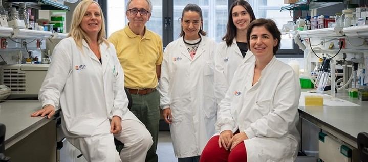 Investigadores proponen activar grasa parda para combatir la obesidad sin dieta restrictiva