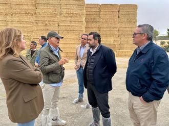 Núñez: No vamos a aceptar ni un solo euro de recorte en la PAC porque el futuro del campo castellanomanchego depende de su rentabilidad