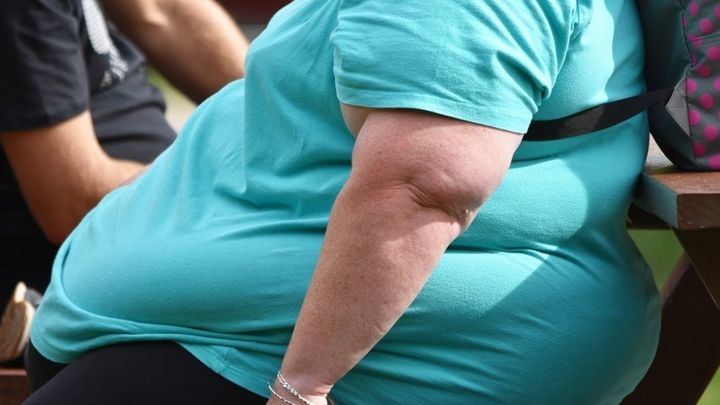 Investigadores del CNIO identifican una proteína 