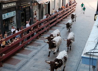 Un minuto y 58 segundos bastan para escribir la historia del toro en el simulacro taurino de encierros de Guadalajara