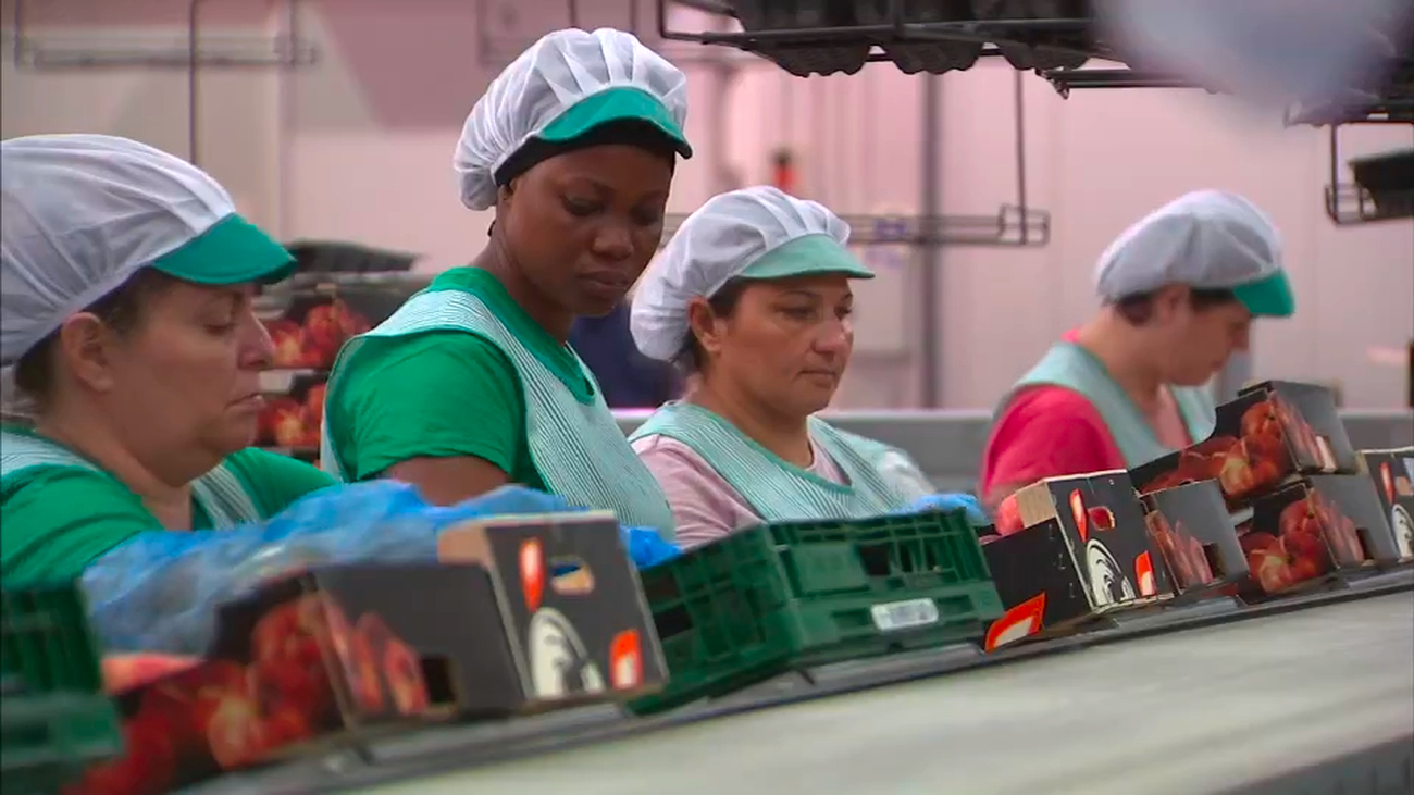 Entra en vigor el nuevo reglamento de Extranjería