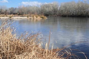 Izquierda Unida denuncia el abandono de la Reserva Ornitológica de Azuqueca tras cumplirse un año de su última visita pública
