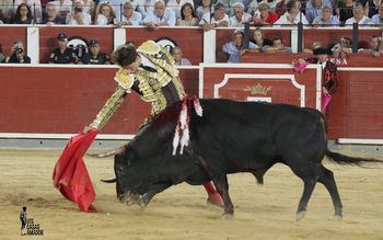 Roca Rey confirma su presencia en la corrida del próximo 16 de mayo en Talavera