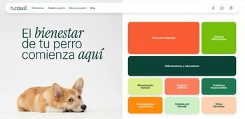 Hundwell lanza una plataforma para combatir el abandono de perros en España