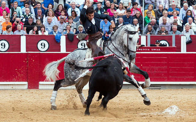 Sergio Galán sustituirá a Andy Cartagena en la corrida de rejones de la Feria de Albacete
