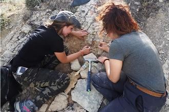 El Grupo de Investigación Paleoibérica de la UAH nos invita a conocer cómo era la Sigüenza de hace 200 millones de años