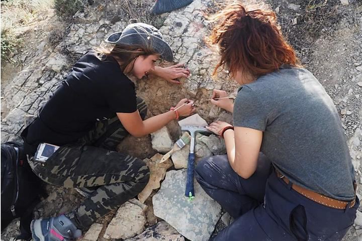 El Grupo de Investigación Paleoibérica de la UAH nos invita a conocer cómo era la Sigüenza de hace 200 millones de años