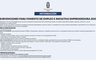 Convocan subvenciones 2025 para impulsar empleo y emprendimiento en Guadalajara