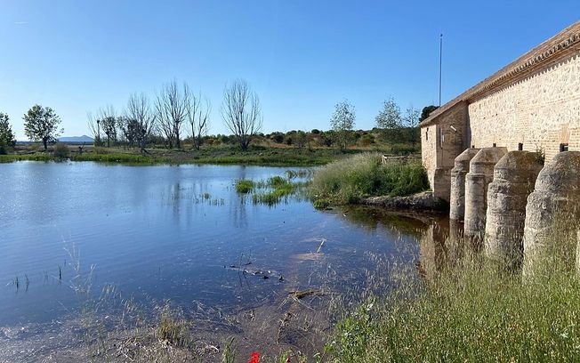 Ecologistas, SEO/BIRDLIFE y WWF reclaman una solución al deterioro del Parque Nacional de las Tablas de Daimiel