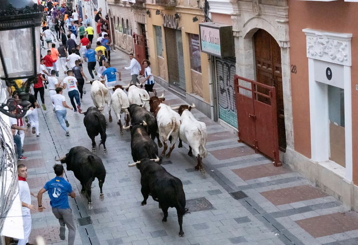 Foto : EDUARDO BONILLA