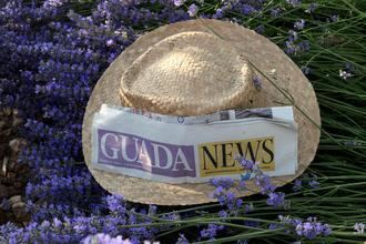 Sol, 2ºC de mínima y 18ºC de máxima este último domingo de marzo en Guadalajara con molestas rachas de viento de hasta 15 km/h