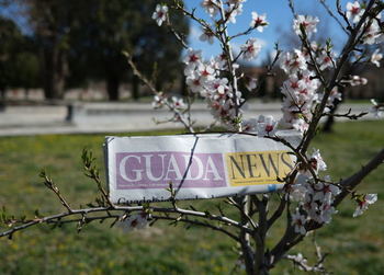 Foto : EDUARDO BONILLA