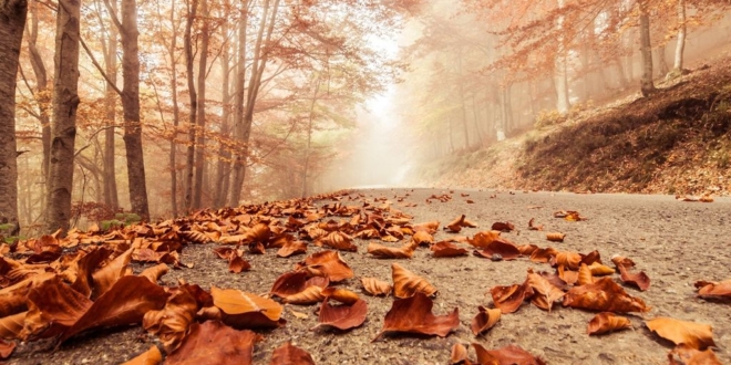 Octubre será más cálido de lo normal y con lluvias escasas, tras un septiembre cálido y seco, según eltiempo.es