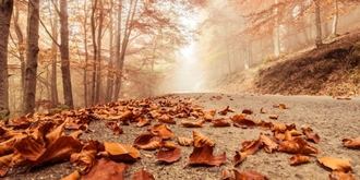 Ausencia de lluvias, ambiente soleado y cielos despejados este sábado en Guadalajara con 5ºC de mínima y 15ºC de máxima