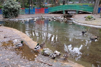 La tercera semana de febrero tendrá temperaturas de final de marzo o inicio de abril, con hasta 25ºC en el sureste de España