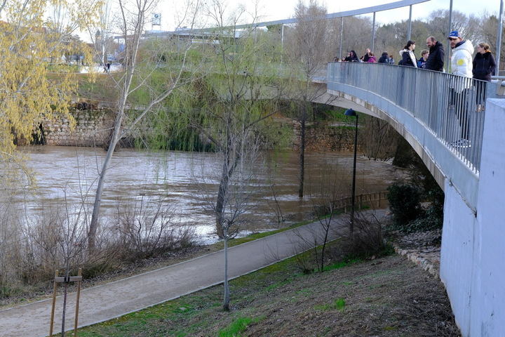 Foto : EDUARDO BONILLA