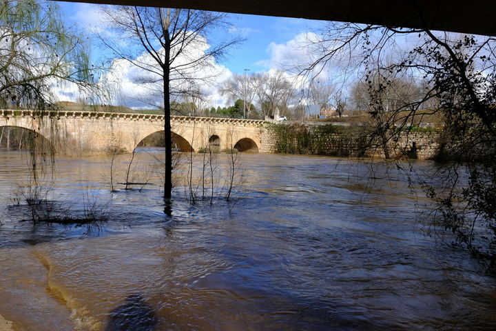 Crecida del río Henares a su paso por Guadalajara. Foto : EDUARDO BONILLA