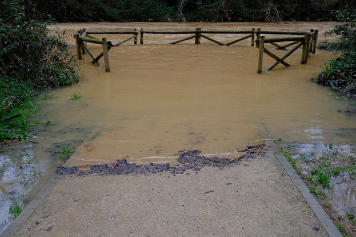 Fuerte crecida ayer en el río Henares a su paso por Guadalajara. Foto : EDUARDO BONILLA