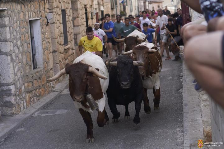 Éxito rotundo de las Fiestas de Torija: gran afluencia de público, seguridad y reactivación económica
