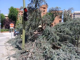22ºC de mínima y 35ºC de máxima este sábado de julio en Guadalajara cuya provincia está en ALERTA por LLUVIAS y TORMENTAS
