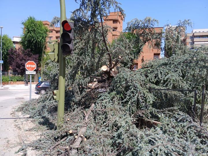 Foto : EDUARDO BONILLA