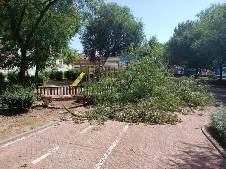 Foto : EDUARDO BONILLA