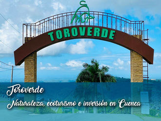 ECOLOGISTAS EN ACCIÓN : Denuncian la cesión de la sede de la presidencia del gobierno de Castilla-La Mancha a una multinacional de ocio.