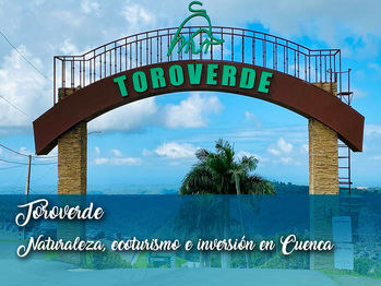 ECOLOGISTAS EN ACCIÓN : Denuncian la cesión de la sede de la presidencia del gobierno de Castilla-La Mancha a una multinacional de ocio.