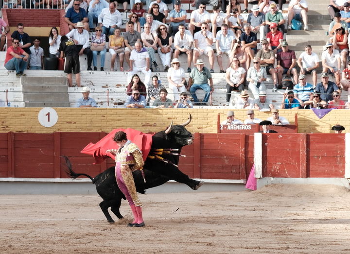 Foto : EDUARDO BONILLA