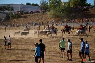 Tórtola de Henares cierra unas multitudinarias y participativas Fiestas de Verano 2026